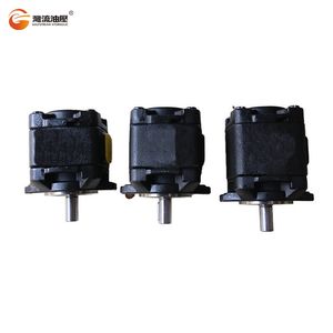 Large Displacement Gear Hydro Oil Pump for Mining Machinery