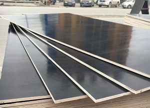 Shandong Film Faced Plywood Hot Sale 1220X2440mm 18mm Beam Formwork Shuttering Ceiling Black and Brown Film Face Plywood for Construction Building