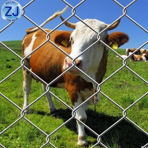 Galvanized Zinc Coated 6FT 8FT Roll Cyclone Wire Diamond Mesh Farm Chain Link Fence