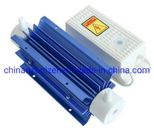 Air Cooling 10g Ozone Generator Parts with Ozone Tube and Ozone High Voltage Power Supply