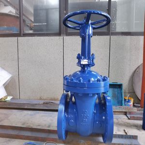 OS&Y Gate Valve 10" Class 300 RF Flange Connection