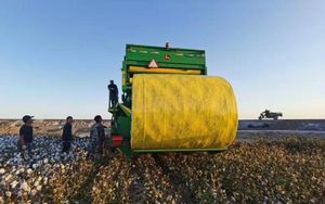 Hot Sale Cotton Picker Packing Wrap Film for Cp670 Cp770