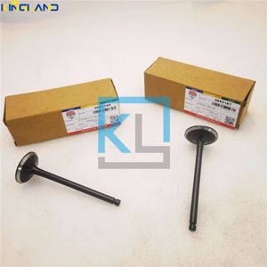 High Quality Diesel Engine Parts Intake Exhaust Valve 4895187 4895188 Suitable for Iveco