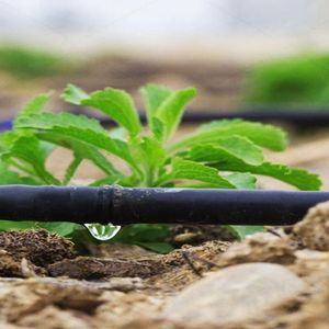 Pressure Compensating Drip Tape for Uniform Agricultural Crop Irrigation Solutions
