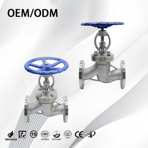 Stainless Steel Industrial Manual Non-Standard S-Type Flange Globe Valve for Water