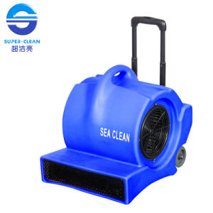 Electric Hot Air Carpet Blower Machine with Ce
