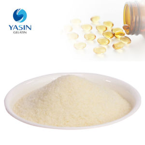 Pharmaceutical Grade Gelatin Granule