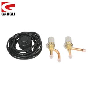 Gangli Refrigeration Electronic Expansion Valve for Air Conditioner