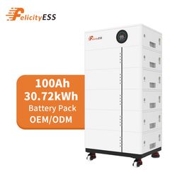Felicityess 30.72kwh High Performance Lithium Battery Energy Storage System for Efficient Solar Power Utilization