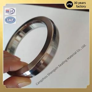 High Temperature and High Pressure 304 316L Stainless Steel Ring Joint Gasket Flange Gasket R Series Metal Octagonal Ring Gasket