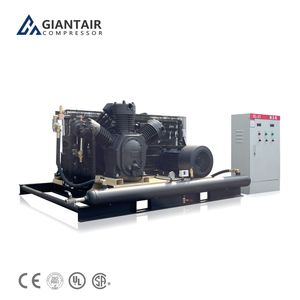 30 Bar 40bar Booster Pump Piston Air Compressor for Pet Bottle Blowing