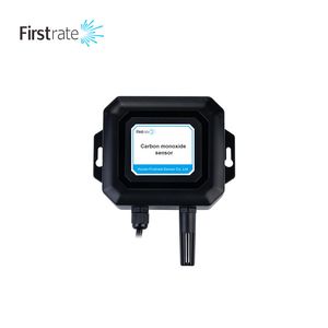 FST100-2012 High-Precision Carbon Monoxide Sensor