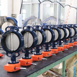 Wras EPDM Seat Handle Worm Gear Wafer Type Butterfly Valves