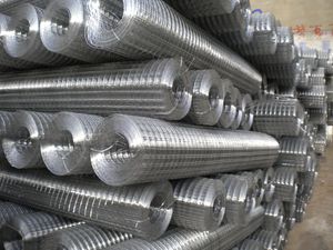Galvanized Welded Wire Mesh for Coffee Dry