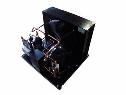 1HP Popular Small Air Cooled Condensing Unit for Cold Room