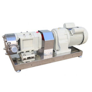 Stainless Steel Sanitary Rotor Pump