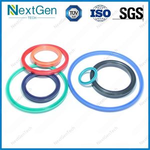 NBR FKM EPDM HNBR Neoprene Silicone Plastic Auto Gaskets Valve Rubber Sealing Part