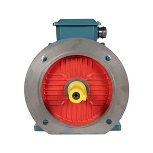 Durable 30HP Three Phase Electric Motor for Agricultural Irrigation Systems