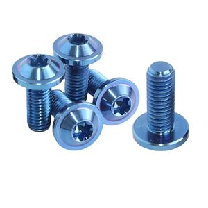 Wholesale Low Price Alloy Self-Tapping HK Medical Titanium Screw Titanium Bolt Tornillo De Titanio