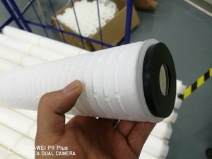 0.2um 10" Pes Pleated Membrane Filter Cartridge