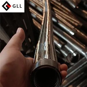 Durable Corrugated High-Quality S/S DN 1/4-12 Inch Flexible Metal Hose with Flange