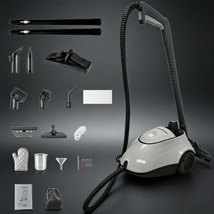 2000W Portable Steam Cleaner Home & Car