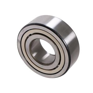 Hydraulic Pump Bearing Roller Bearing 2478713 for Excavator