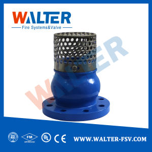 Cast Iron Foot Valve