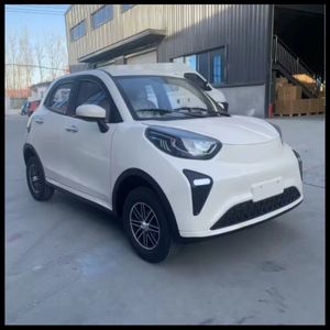 Long Range Electric Ant Car with 120km Distance and 3000W Motor