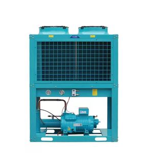 Air Cooled Condensing Unit for Cold Storage