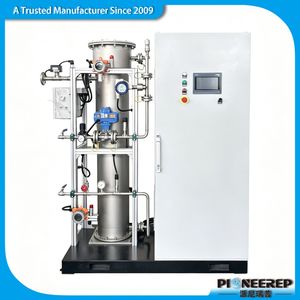 PLC Controlled 1000g/H Industrial Ozone Generator Large O3 Machine for Soil Remediation
