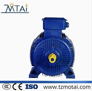 IE3 110KW Three Phase High Voltage AC Industrial Induction Electric Motor
