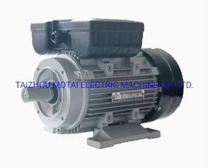 OEM ML Series Capacitor Start Single Phase Pump Compressor AC Electric Motor