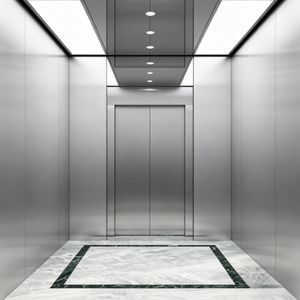 Disabled Friendly Safe Reliable Stainless Steel Passenger Elevator for Public Building