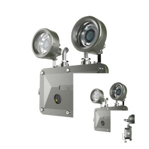 LED Explosion-Proof Emergency Light Explosion-Proof Emergency Light Safety Sign Light