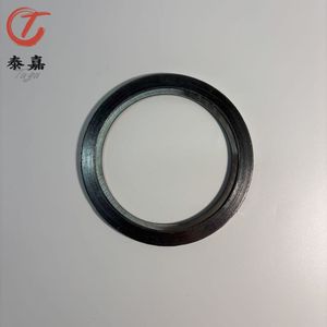 Spiral Wound Gasket 316L/Graphite DN8 for Camt Pump with T74m-2 Motor