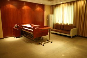 Safety Care Electric Home Style Medical Patient Bed with Casters