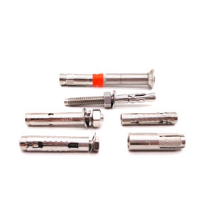 China Stainless Steel 304 316 Drop in Expansion Through Wedge Anchor Bolt