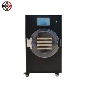 Vegetable Fruit Freeze Dryer Home Vacuum Drying Machine Lyophilizer