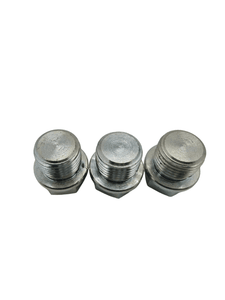 Threaded Hex Socket End Plug