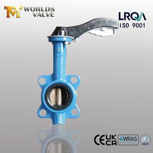 Cast Iron Gg25/Gg20 FC20 Fcd40 Sandwich Butterfly Valves for Pressure Reducing