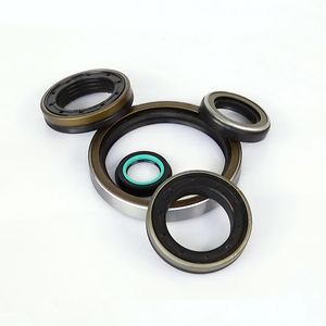 EPDM Silicone Seals for Canisters Customized FKM Rubber Oil Seals