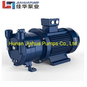 Water Ring Vacuum Pump Stainless Steel 2BV Series High Vacuum Water Pump by Factory Direct Sales