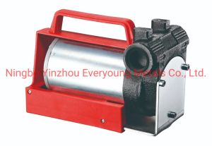 Motor Protection Grade IP55 12 Volt 2800rpm 40L/Min Standard DC Diesel Fuel Pump