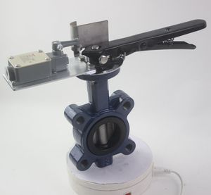 Wholesale Customized Factory Price Wafer Lug Butterfly Valve with Transmitter with SGS