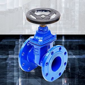 Durable DN300 Flanged Gate Valve with Soft Seal Technology