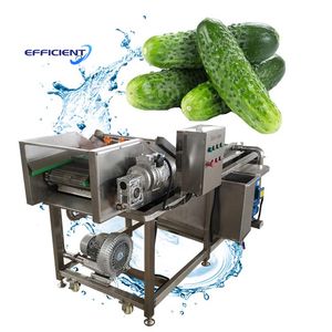 Automatic Cleaning Device Conveyor Fruits and Vegetable Washing Machine