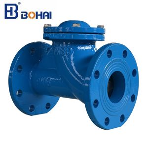 DIN F1 Flanged Floating Ball Check Valve Non Return Valve
