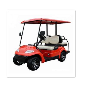 48V Lithium Golf Cart Electric 4 Seats Buggies with 14 Inch Tire