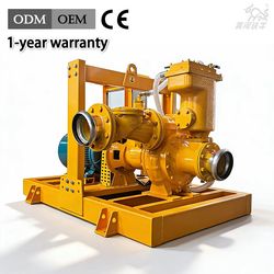 6 Inch High Pressure Motor Sewage Suction Pump Centrifugal Water Pump Flood Water Pump